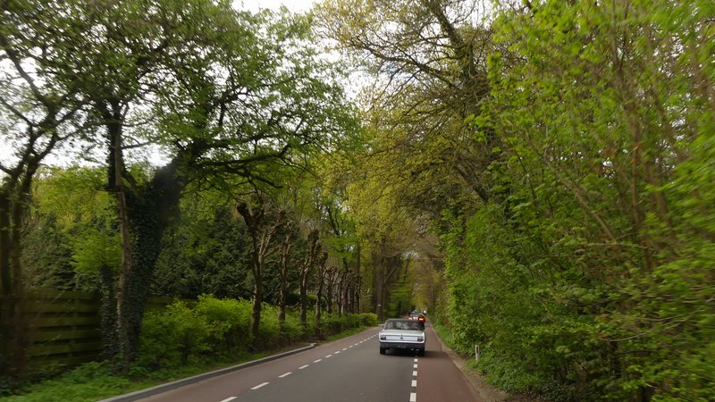 P1000185.JPG