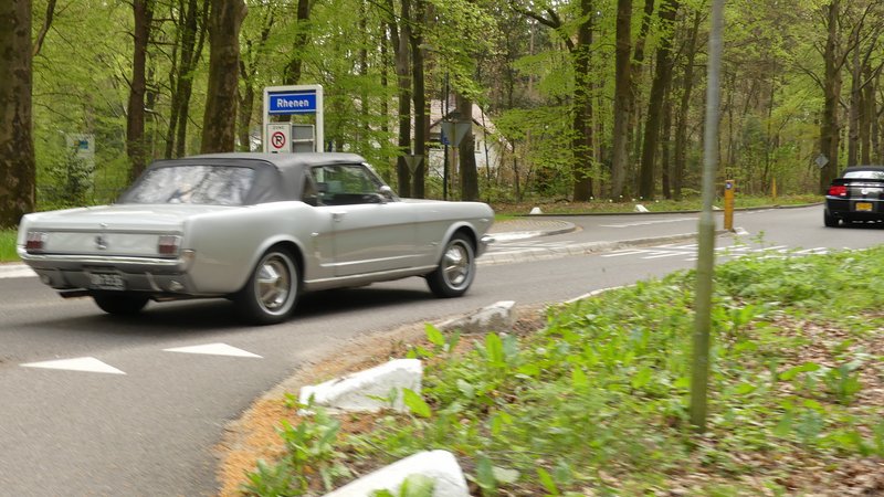 P1000218.JPG