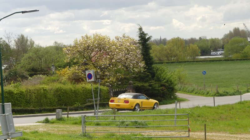 P1000224.JPG