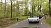 P1000217.JPG