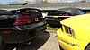 P1000248.JPG