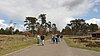 P1000335.JPG